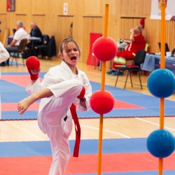 DSC00614-Enhanced-NR