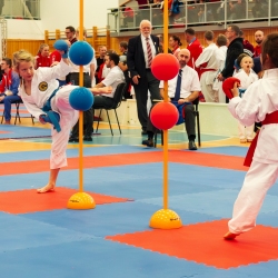 DSC00767-Enhanced-NR